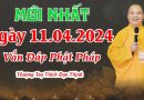 Mới Nhất Ngày 11.4.2024 Vấn Đáp Phật Pháp |Thượng Tọa Thích Đạo Thịnh