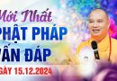 Mới Nhất Phật Pháp Vấn Đáp Ngày 15/12/2024| Thượng Tọa Thích Đạo Thịnh