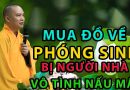 Mua Đồ Về Phóng Sinh Bị Người Nhà Vô Tình Nấu Mất . Đđ.Thích Đạo Thịnh