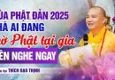 Mùa Phật Đản 2025, Nhà Ai Đang Thờ Phật Tại Gia Nên Nghe Ngay | Thầy Thích Đạo Thịnh