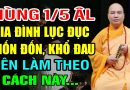 Mùng 1/5 Âm Lịch Gia Đình Lục Đục Gặp Nhiều Khổ Đau Nên Làm Theo Cách Này – Thầy Thích Đạo Thịnh