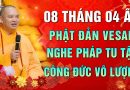 Mùng 8 tháng 4 ÂL – Ai siêng năng nghe Pháp tu tập CÔNG ĐỨC VÔ LƯỢNG – Thầy Thích Đạo Thịnh