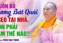 Muốn Bỏ Gương Bát Quái Treo Tại Nhà, Con Phải Làm Thế Nào?| Thầy Thích Đạo Thịnh