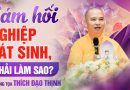 Muốn Sám Hối Nghiệp Sát Sinh, Con Nên Làm Gì? | Thượng Tọa Thích Đạo Thịnh
