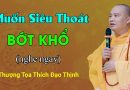 Muốn Siêu Thoát Bớt Khổ (Nghe Ngay)| Thầy Thích Đạo Thịnh
