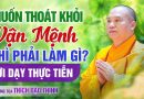 Muốn Thoát Khỏi Vận Mệnh Thì Phải Làm Gì ? – Lời Dạy Thực Tiễn | Thầy Thích Đạo Thịnh