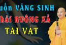Muốn Vãng Sinh Phải Buông Xả Tài Vật L Thầy Thích Đạo Thịnh