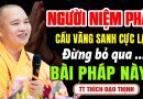 NGƯỜI NIỆM PHẬT CẦU VÃNG SANH CỰC LẠC ĐỪNG BỎ QUA BÀI PHÁP NÀY | Thầy Thích Đạo Thịnh