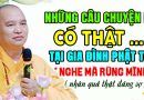 NHỮNG CÂU CHUYỆN LẠ CÓ THẬT TẠI GIA ĐÌNH PHẬT TỬ AI NGHE CŨNG RÙNG MÌNH ” NHÂN QUẢ THẬT ĐÁNG SỢ “