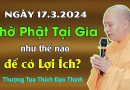 Ngày 17.3.2024, Thờ Phật Tại Gia Như Thế Nào Để Có Lợi Ích?| Thầy Thích Đạo Thịnh