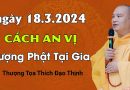 Ngày 18.3.2024. Cách An Vị Tượng Phật Tại Gia| Thầy Thích Đạo Thịnh
