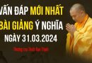 Ngày 31.03.2024 Vấn Đáp Mới Nhất. Bài Giảng Ý Nghĩa Thượng Tọa Thích Đạo Thịnh