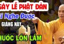 Ngày Đại lễ Phật Đản ai nghe được bài giảng này Phước Lớn Lắm – Thầy Thích Đạo Thịnh