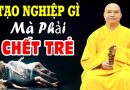 Nghiệp gì mà phải chết trẻ, sống không thọ, nghe để biết về tuổi thọ của con người ( nên biết )