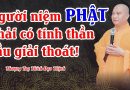 Người Niệm Phật Phải Có Tinh Thần Cầu Giải Thoát! | Thượng Tọa Thích Đạo Thịnh
