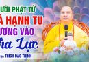 Người Phật Tử Và Hạnh Tu Nương Vào Tha Lực | Thầy Thích Đạo Thịnh