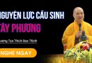 Nguyện Lực Cầu Sinh Tây Phương | Thượng Tọa Thích Đạo Thịnh