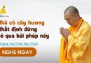 Nhà Có Cây Hương Nhất Định Đừng Bỏ Qua Bải Pháp Này |Thượng Tọa Thích Đạo Thịnh