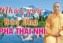 Nhân Quả Báo Ứng – Khuyên Mọi Người Không Nên Phá Thai L Đ.Đ Thích Đạo Thịnh