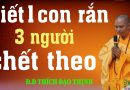 Nhân Quả Giết 1 Con Rắn, Ba Mạng Người Chết Theo. Đ-Đ Thích Đạo Thịnh
