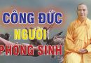 Những Điều Cần Biết Khi Thực Hiện Công Đức Phóng Sinh