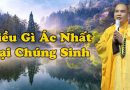Những Điều Ly Kỳ Thiền Sư Từ Đạo Hạnh, Điều Gì Ác Nhất Hại Chúng Sinh, Tội Phỉ Báng Kinh Phật