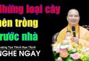 Những Loại Cây Nên Trồng Trước Nhà