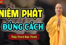 Niệm Phật Đúng Cách, Không Phải Ai Cũng Biết | Thầy Thích Đạo Thịnh