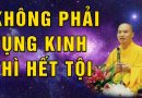 Niệm Phật Gặp Cảnh Giới Không Khoe Khoang, Không Mong Cầu Thần Thông L Đại Đức Thích Đạo Thịnh
