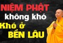 Niệm Phật Không Khó, Khó Ở Bền Lâu L Thầy Thích Đạo Thịnh
