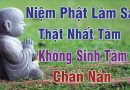 Niệm Phật Làm Sao Để Nhất Tâm Và Không Sinh Tâm Chán Nản L Đ.Đ Thích Đạo Thịnh