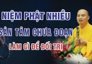 Niệm Phật Nhiều Mà Sân Tâm Chưa Đoạn Con Phải Làm Gì Để Đối Trị