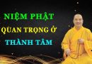 Niệm Phật Quan Trọng Ở Thành Tâm L Đ.Đ Thích Đạo Thịnh