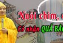Nuôi Chim Trong Lồng Cá Nuôi Trong Bể Có Được Không ?
