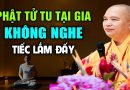 PHẬT TỬ TU TẠI GIA KHÔNG NGHE TIẾC LẮM ĐẤY | Thầy Thích Đạo Thịnh