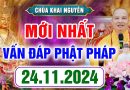 (Phần 01) Vấn Đáp Mới Nhất – Pháp Hội Địa Tạng Ngày 24.11.2024 – Thầy Thích Đạo Thịnh