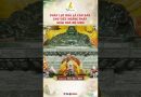 Pháp Lục Hoà Là Căn Bản Cho Việc Hoằng Pháp, Giáo Hoá Độ Sinh #Thaythichdaothinh #Chuakhainguyen