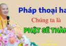 Pháp Thoại Hay, Chúng Ta Là Phật Sẽ Thành| Thầy Thích Đạo Thịnh