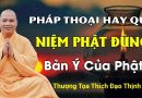 Pháp Thoại Hay Quá. Niệm Phật Đúng Bản Ý Của Phật| Thầy Thích Đạo Thịnh