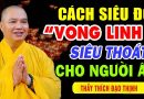 Phật Dạy Cách Siêu Độ Vong Linh, Siêu Thoát Cho Người Âm – Thầy Thích Đạo Thịnh