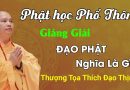 Phật Học Phổ Thông, Giảng Giải Đạo Phật Nghĩa Là Gì? Thầy Thích Đạo Thịnh