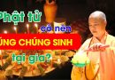 Phật Tử Có Nên Cúng Chúng Sinh Tại Gia Không? | Thầy Thích Đạo Thịnh