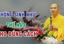 Phóng Sinh Một Con Vật Mà Làm Hại Rất Nhiều Chúng Sinh Khác.Phóng Sinh Như Thế Nào Cho Đúng Cách ?