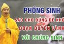 Phóng Sinh Sao Cho Đúng Để Không Đoạn Duyên Lành Với Chúng Sinh