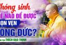 Phóng Sinh Thế Nào Để Được Trọn Vẹn Công Đức? | Thượng Tọa Thích Đạo Thịnh