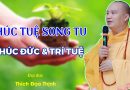 Phúc Tuệ Song Tu – Phúc Đức & Trí Tuệ| Thầy Thích Đạo Thịnh