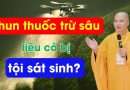 Phun Thuốc Trừ Sâu Có Bị Tội Sát Sinh Không? Nên Xem Ngay | Thầy Thích Đạo Thịnh