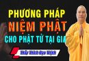 Phương Pháp Niệm Phật Cho Phật Tử Tại Gia (Ai cũng nên nghe) – Thầy Thích Đạo Thịnh