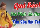 Quả Báo Cho Kẻ Thờ Phật Ăn Chay Mà Sát Tâm Chẳng Bỏ L Đ.Đ Thích Đạo Thịnh