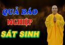 Quả Báo Nghiệp Sát Sinh L Đ.Đ Thích Đạo Thịnh